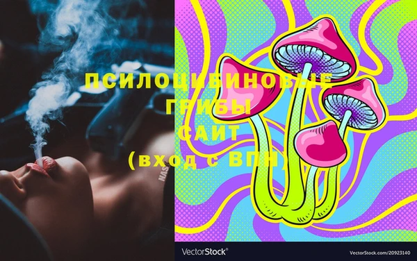бошки Богородицк