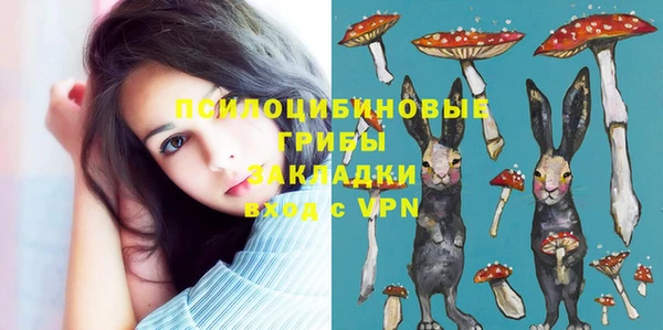 бошки Богородицк