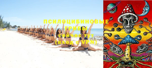 бошки Богородицк
