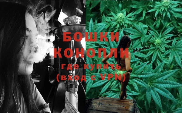 крисы Богданович