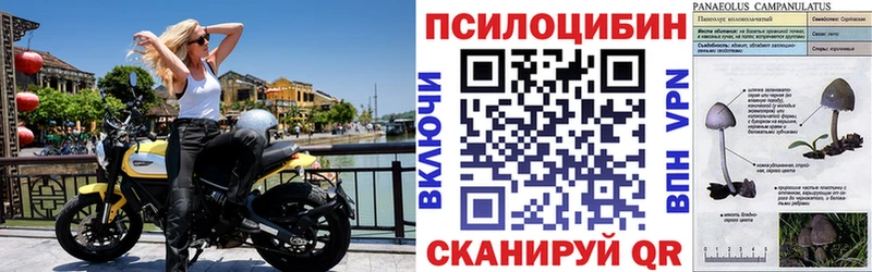 где можно купить наркотик  кракен   Псилоцибиновые грибы ЛСД  Вуктыл 